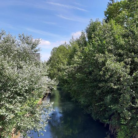 Le Domaine Des Anges Pension Wavrans-sur-l'Aa Buitenkant foto