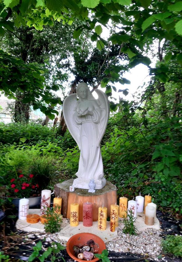 Le Domaine Des Anges Pension Wavrans-sur-l'Aa Buitenkant foto