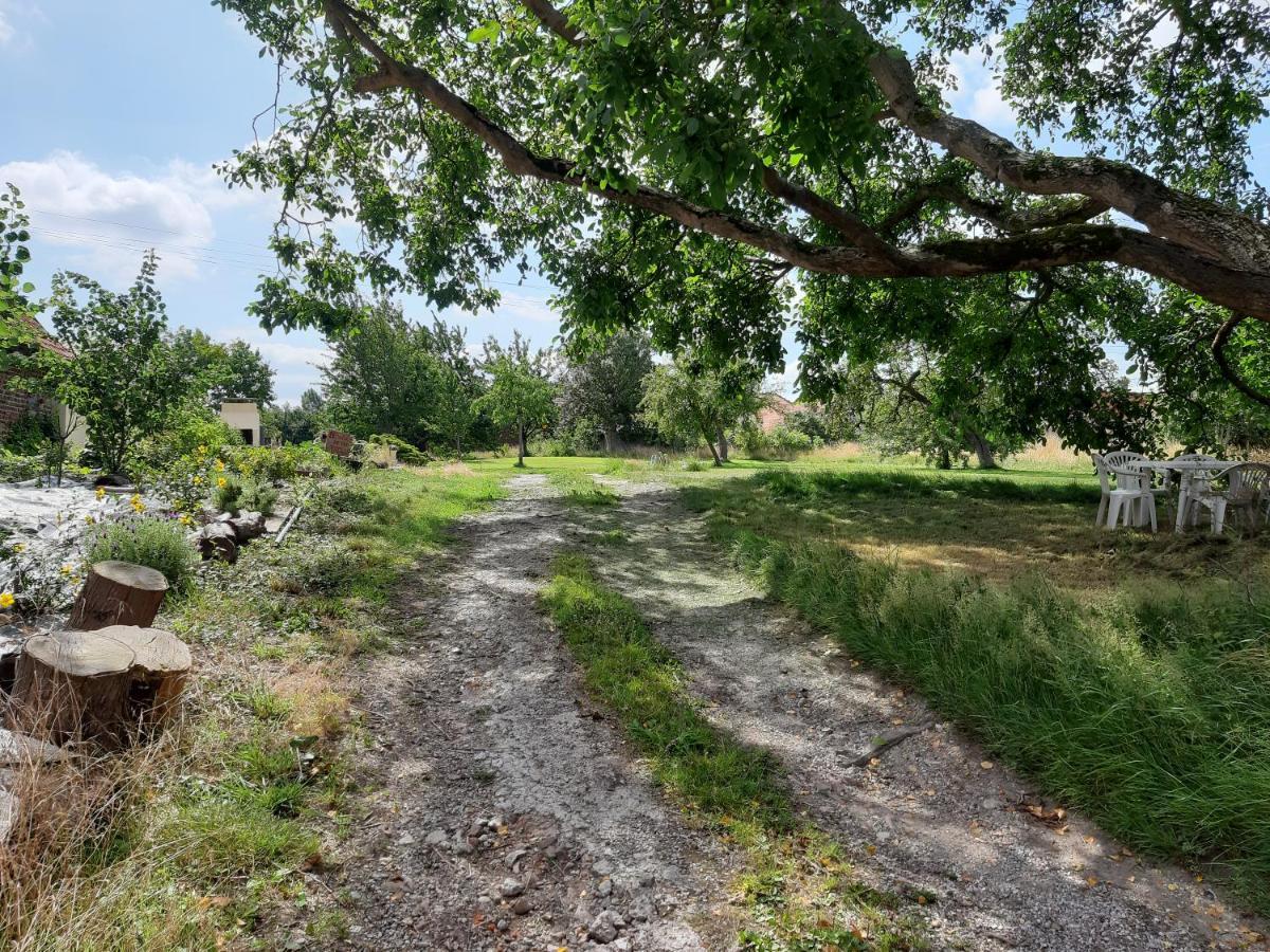 Le Domaine Des Anges Pension Wavrans-sur-l'Aa Buitenkant foto