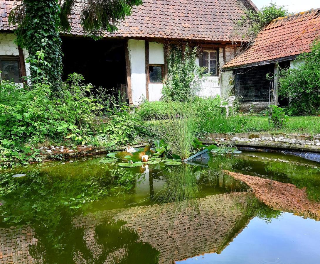 Le Domaine Des Anges Pension Wavrans-sur-l'Aa Buitenkant foto