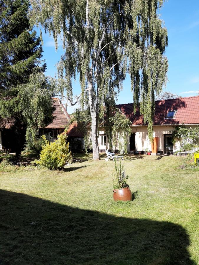 Le Domaine Des Anges Pension Wavrans-sur-l'Aa Buitenkant foto